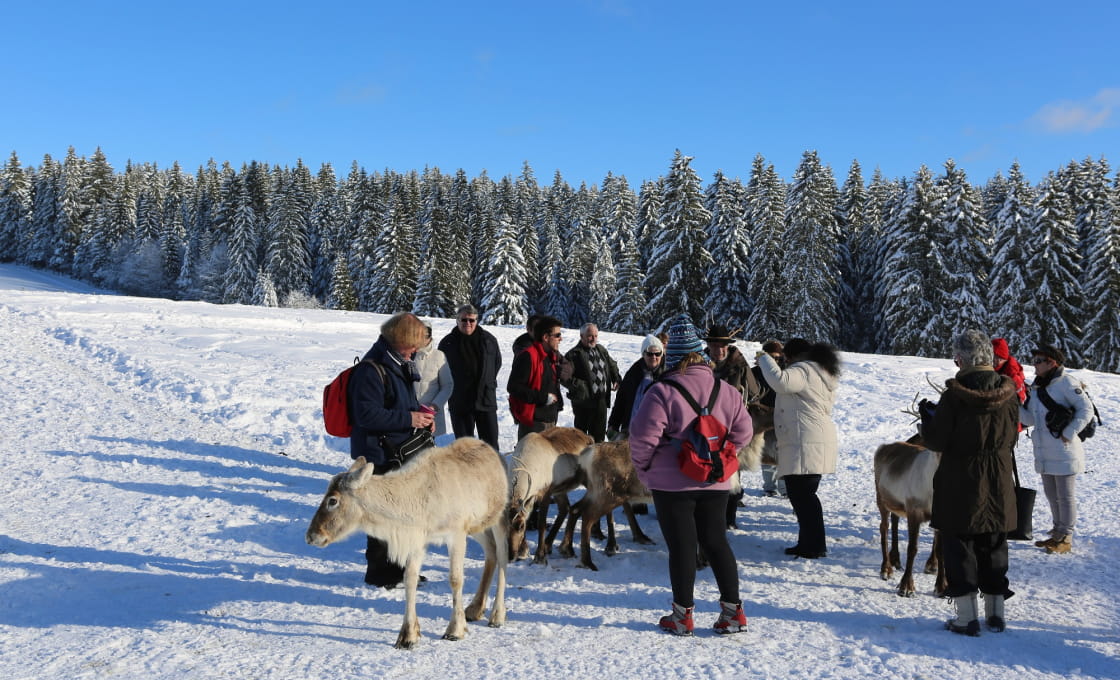 48 H Dans Le Haut-Doubs En Hiver | Doubs | Montagnes Du Jura