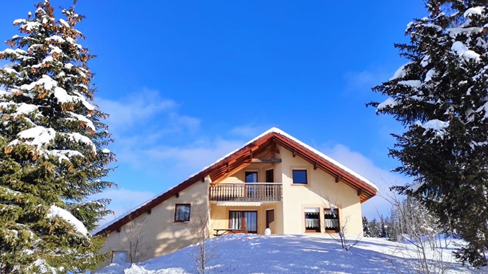 Gîte -Les Hauts Bois -  Gentiane