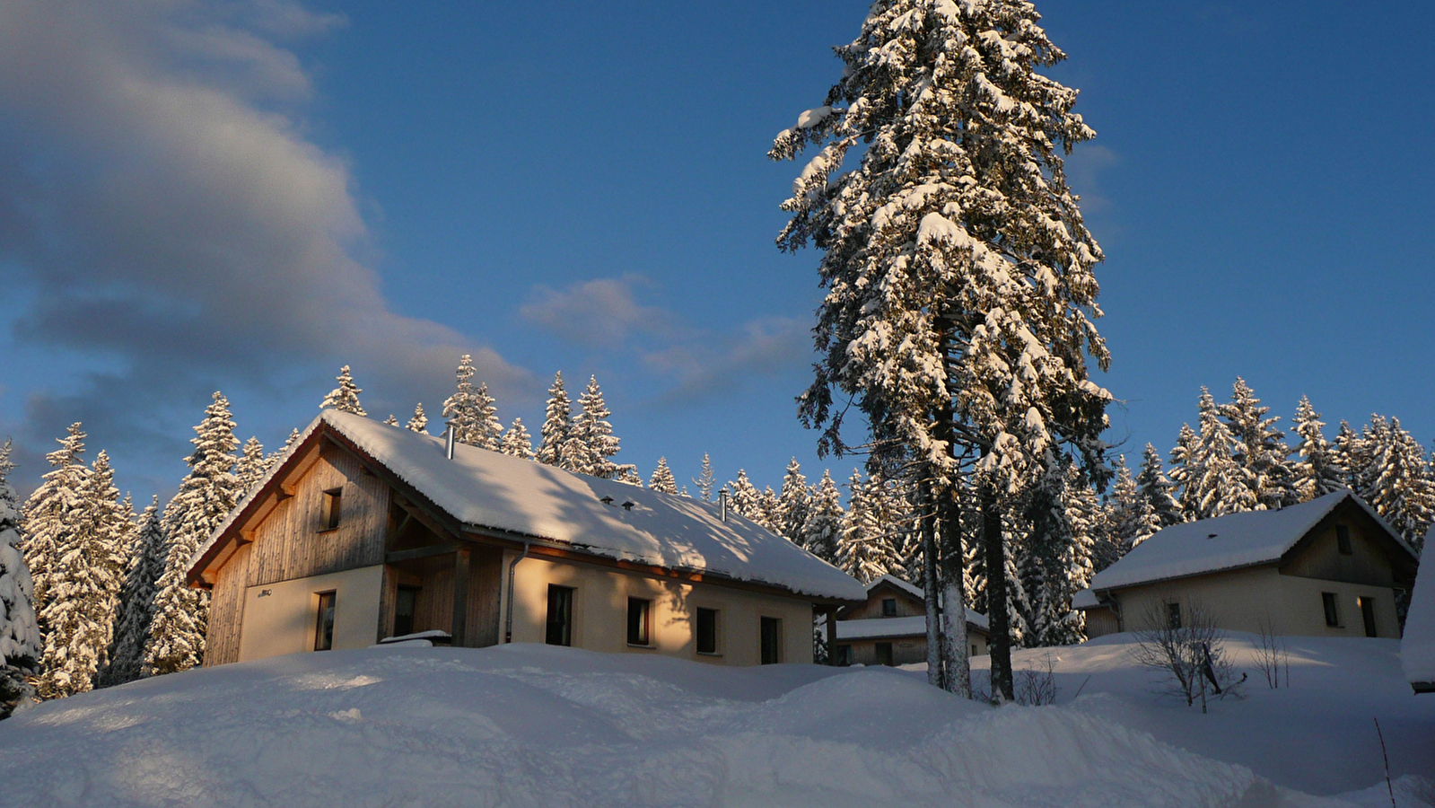 Chalet -Les Hauts Bois -  l'Églantine