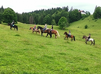 Centre Équestre Les Seignes - LES GRAS