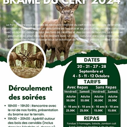 Le Brame du Cerf