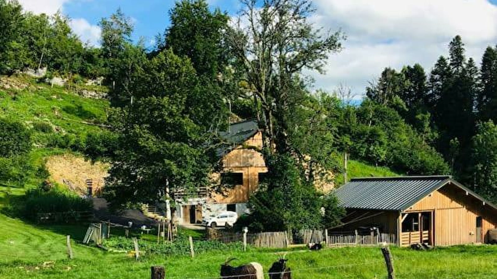 Gîte le Creux de Vennes