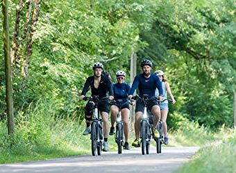 Happy's Experience - Balade à vélos  - MAMIROLLE