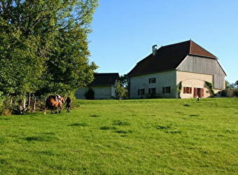 La Ferme de l'Olivier - LES PREMIERS SAPINS