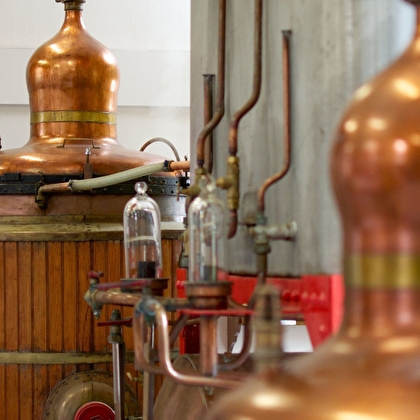 Visite - Distillerie historique d